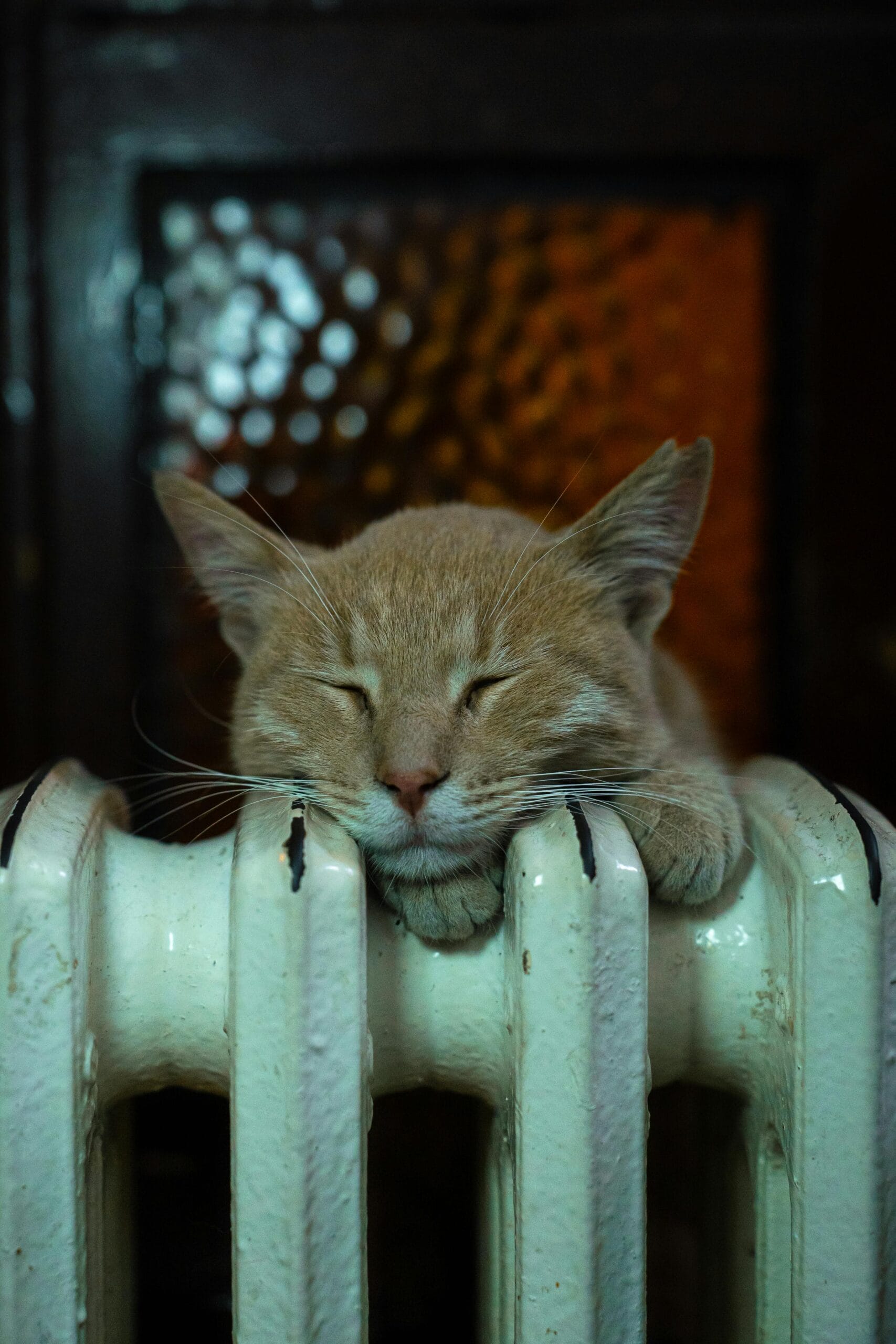 Bojler - jak zasobnik ciepłej wody użytkowej