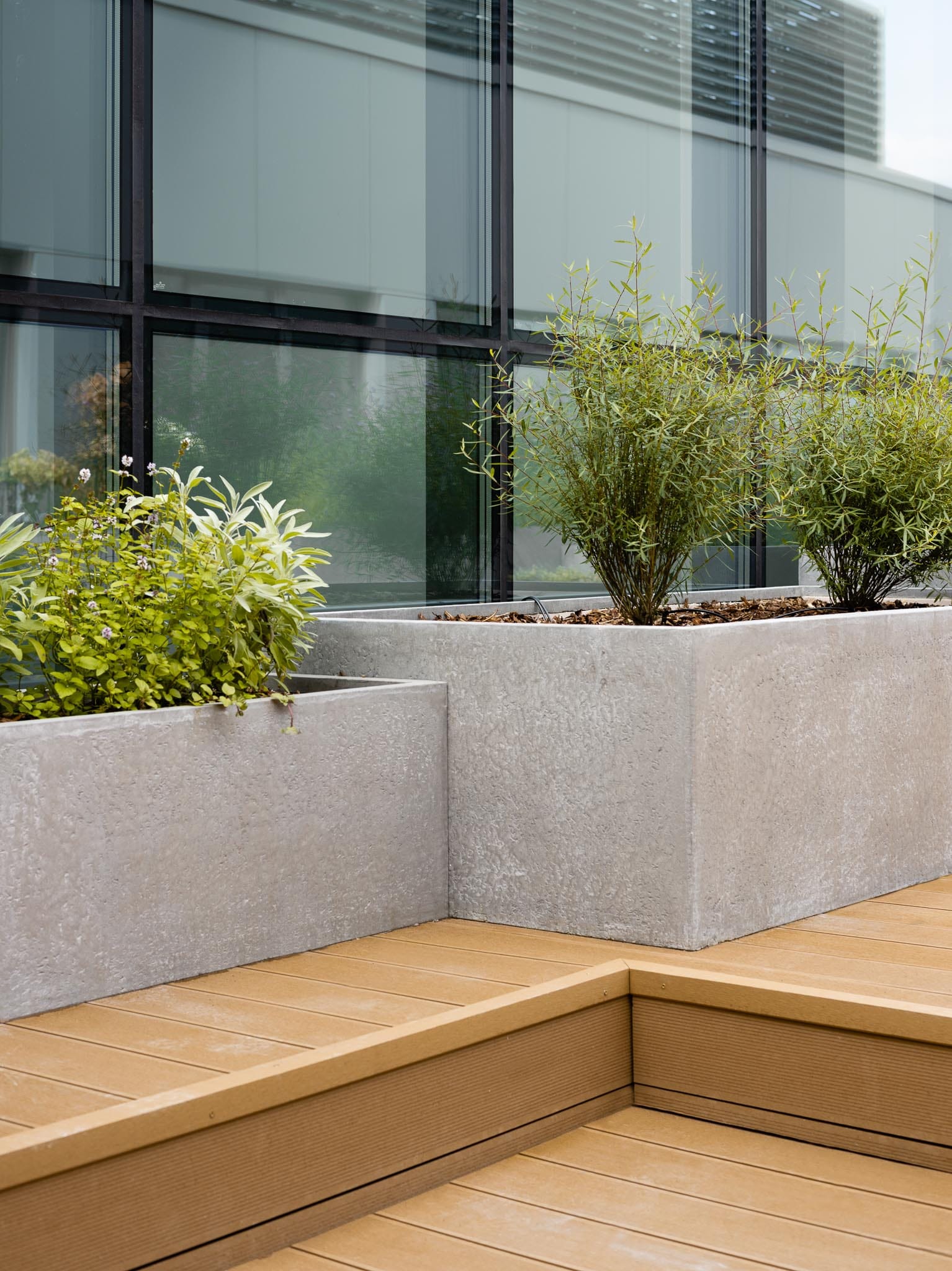 donice w imitacji betonu architektonicznego